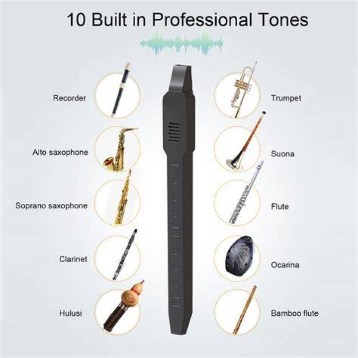 What is the smallest wind instrument?