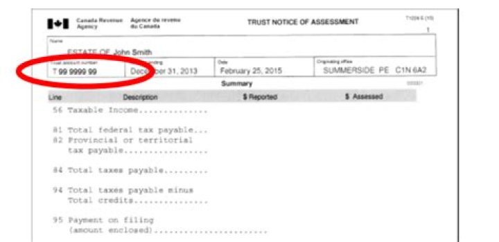 What is the tax ID number for a trust?