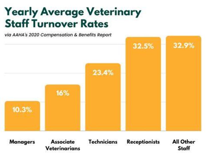 What is the turnover rate for veterinary?
