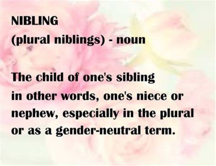 What is the umbrella term for nieces and nephews?