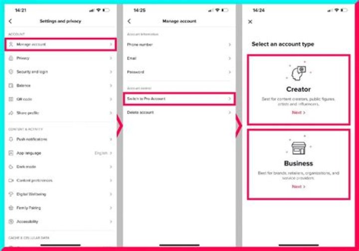 What is TikTok Pro account?
