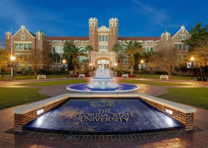 What is University of Florida known for?
