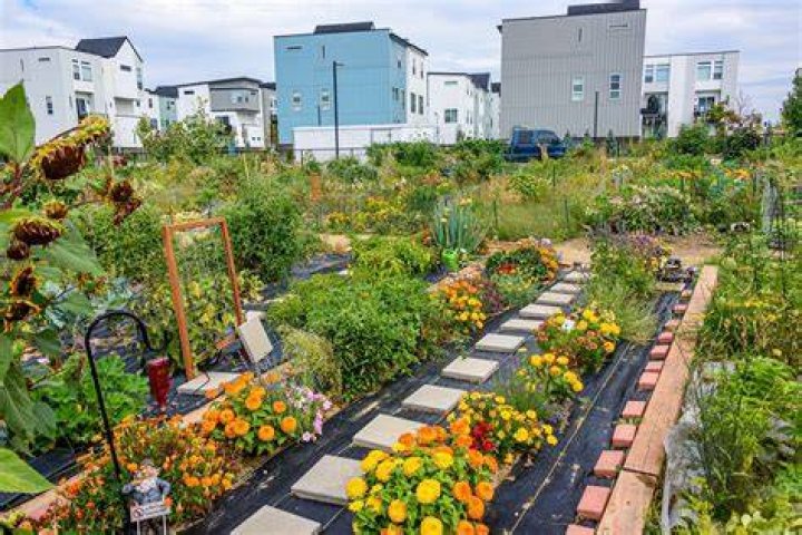 What is urban farming and gardening?