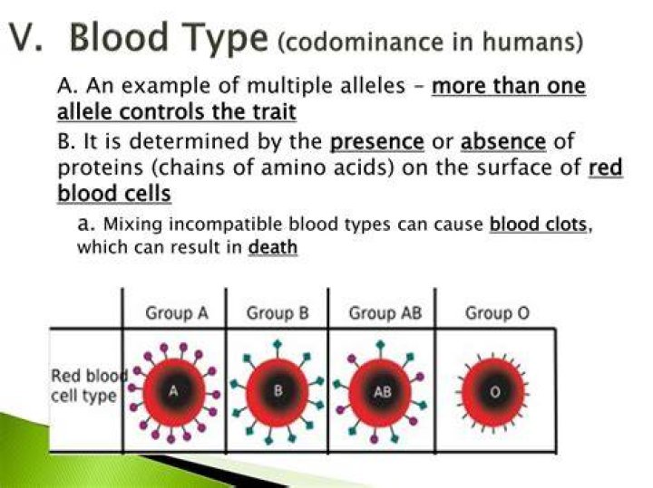 What is V blood type?