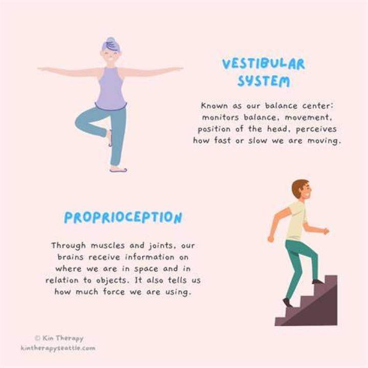 What is vestibular proprioception?