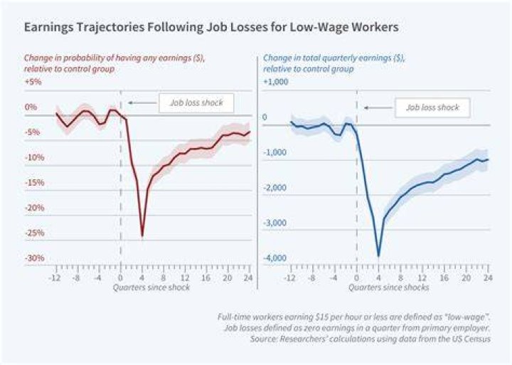 What is wage losses?