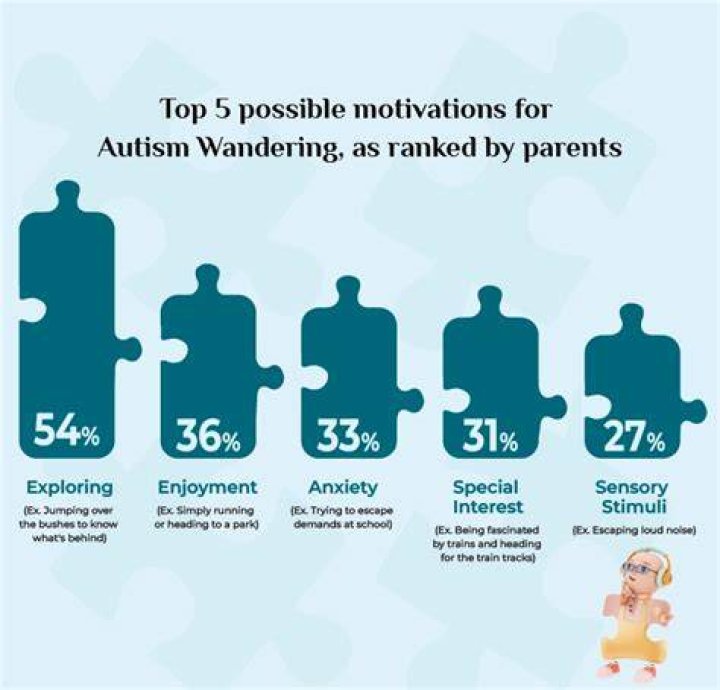 What is wandering in autism?