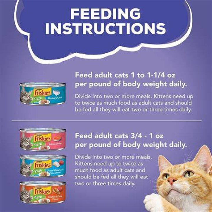 What is wrong with Friskies cat food?