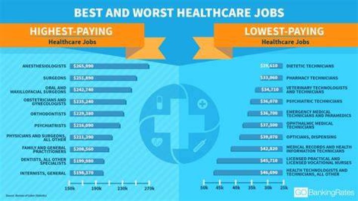 What job makes the most money in healthcare?