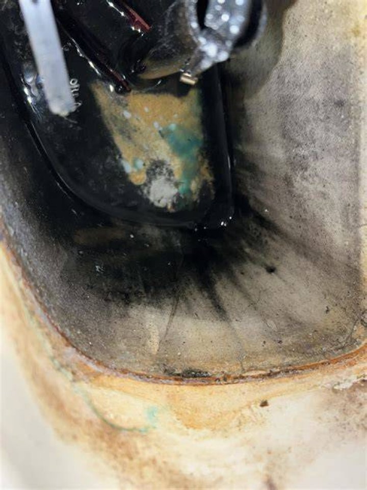 What kills algae in toilet tank?