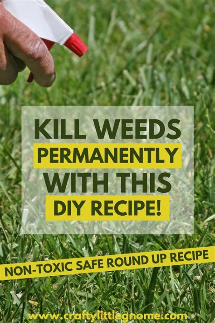 What kills weeds permanently home remedy?