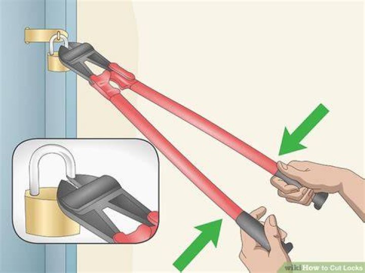 What kind of bolt cutters will cut a padlock?
