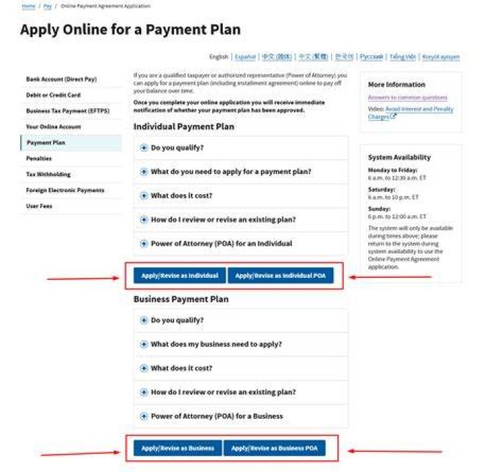 What kind of payment plan does the IRS offer?
