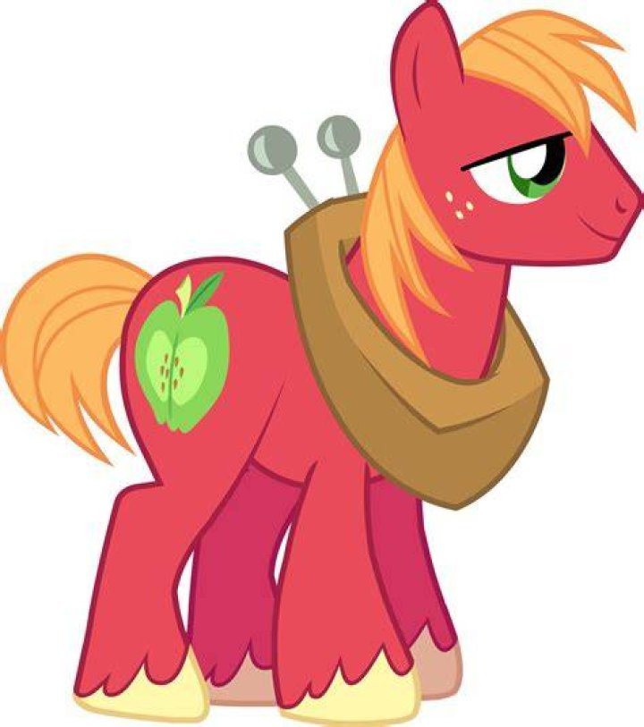 What kind of pony is Big Mac?
