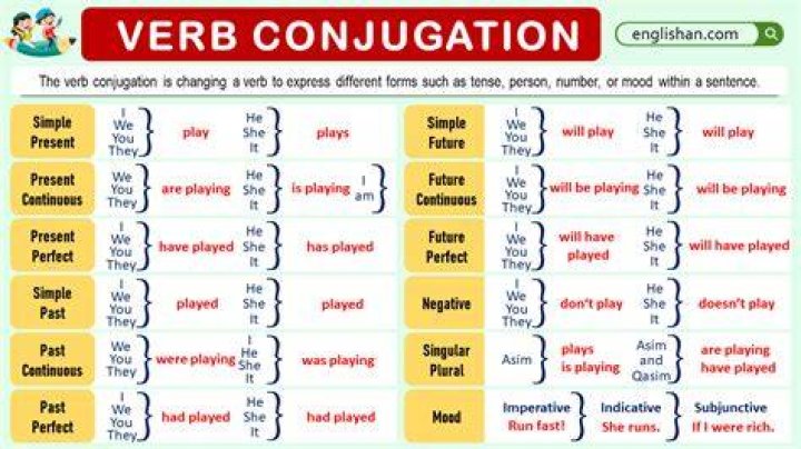What kind of verb is have to?