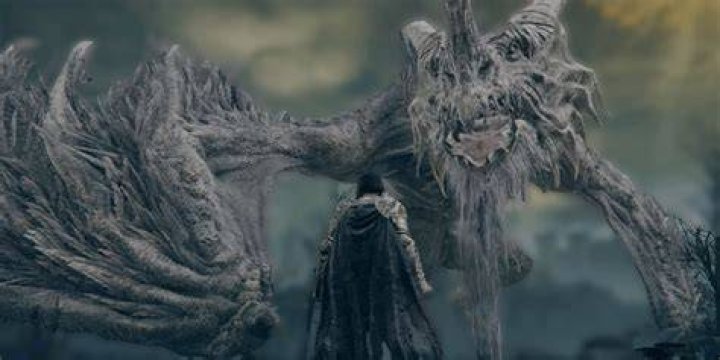 What level is dragon Elden Ring?