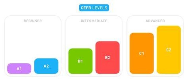What level of Spanish does Duolingo teach?