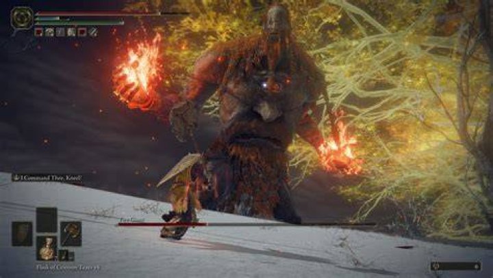 What level should I be to fight fire giant?