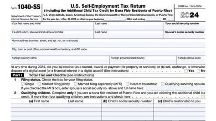 What line is self-employment income on 1040?