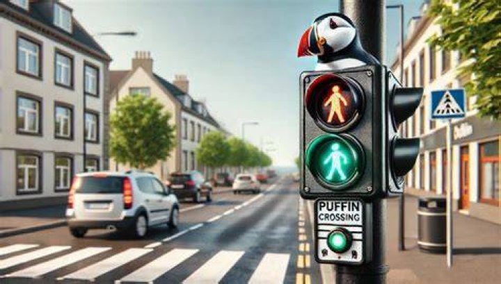 What means puffin crossing?
