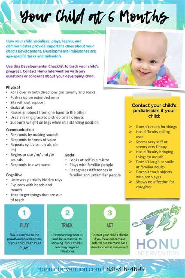 What milestones should a 6 month old be doing?