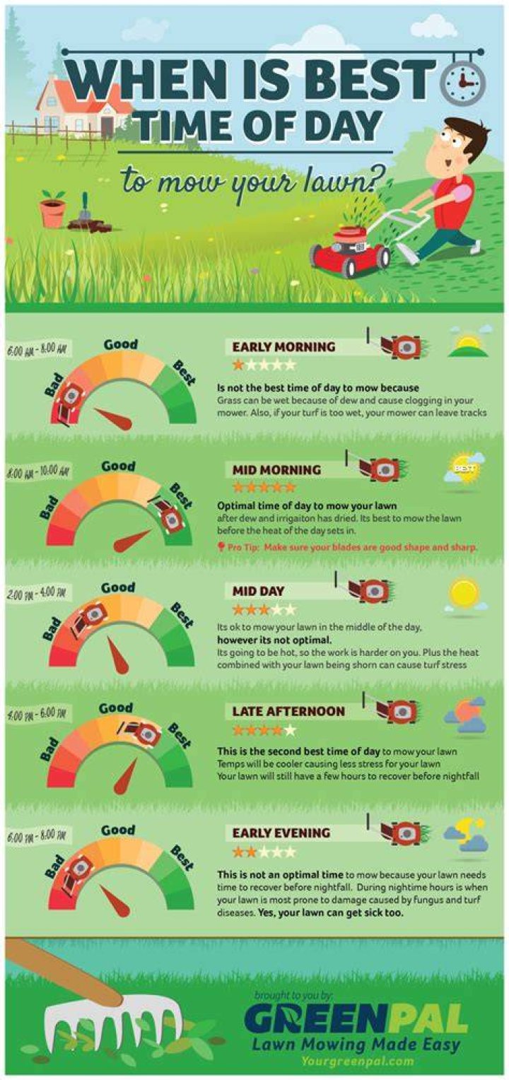 What month should you cut grass?