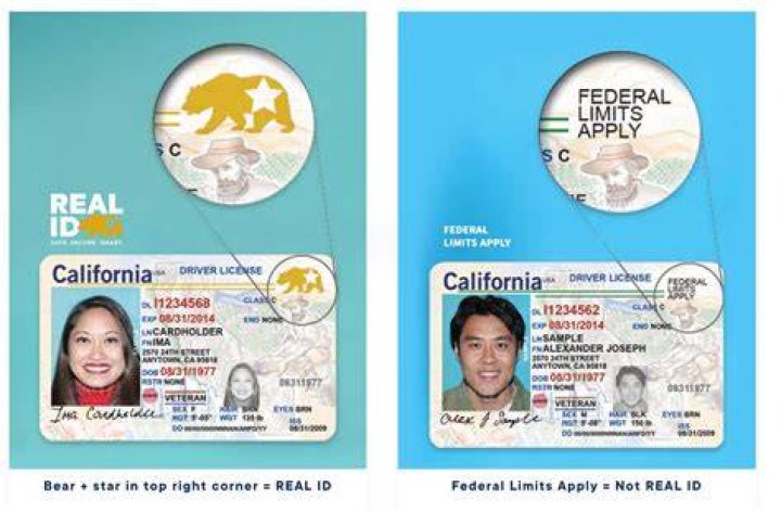 What must I do if I lost my ID book?