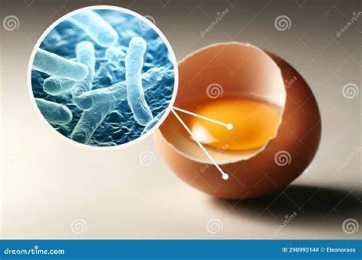 What part of the egg has salmonella?