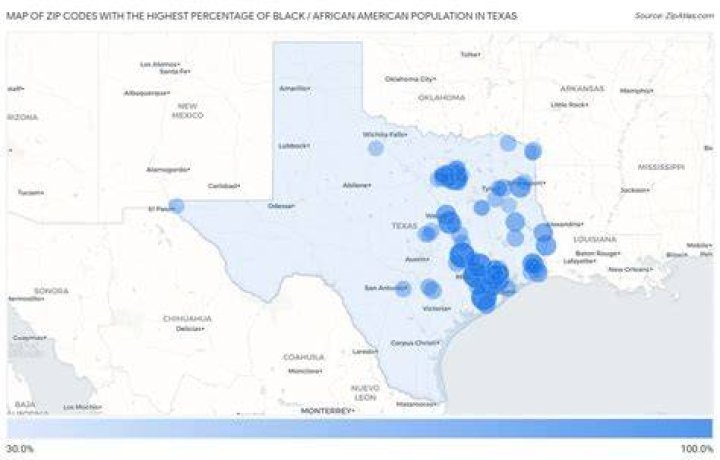 What percent of Texas is black?