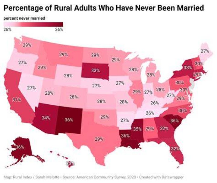 What percentage of adults never marry?