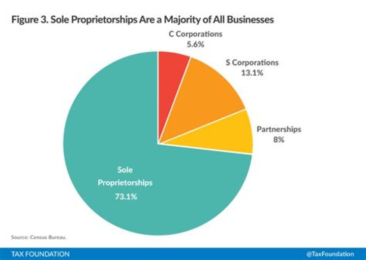 What percentage of businesses are sole proprietorships?