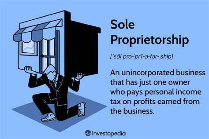 What percentage of businesses start as a sole proprietorship?