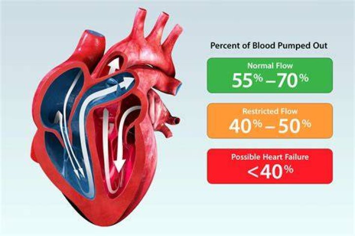 What percentage of heart function can you live with?
