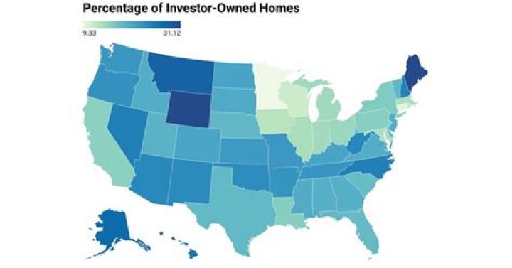 What percentage of home sales are investors?