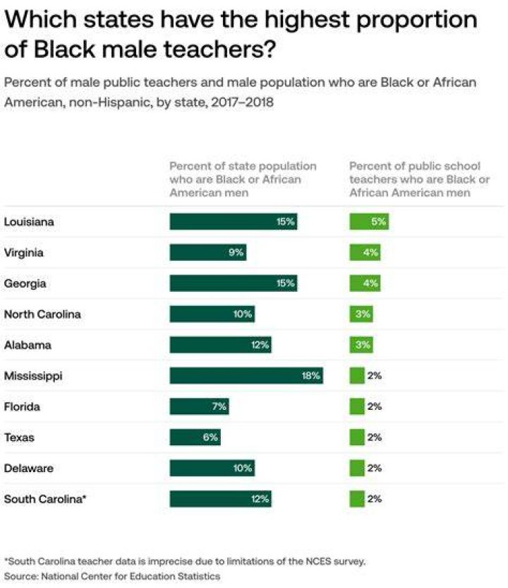 What percentage of teachers are Black females?