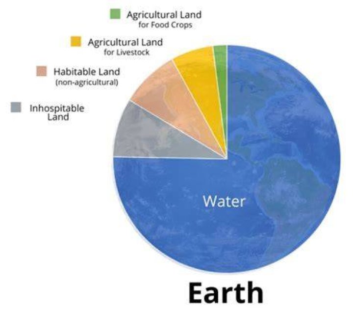 What percentage of the earth is gold?