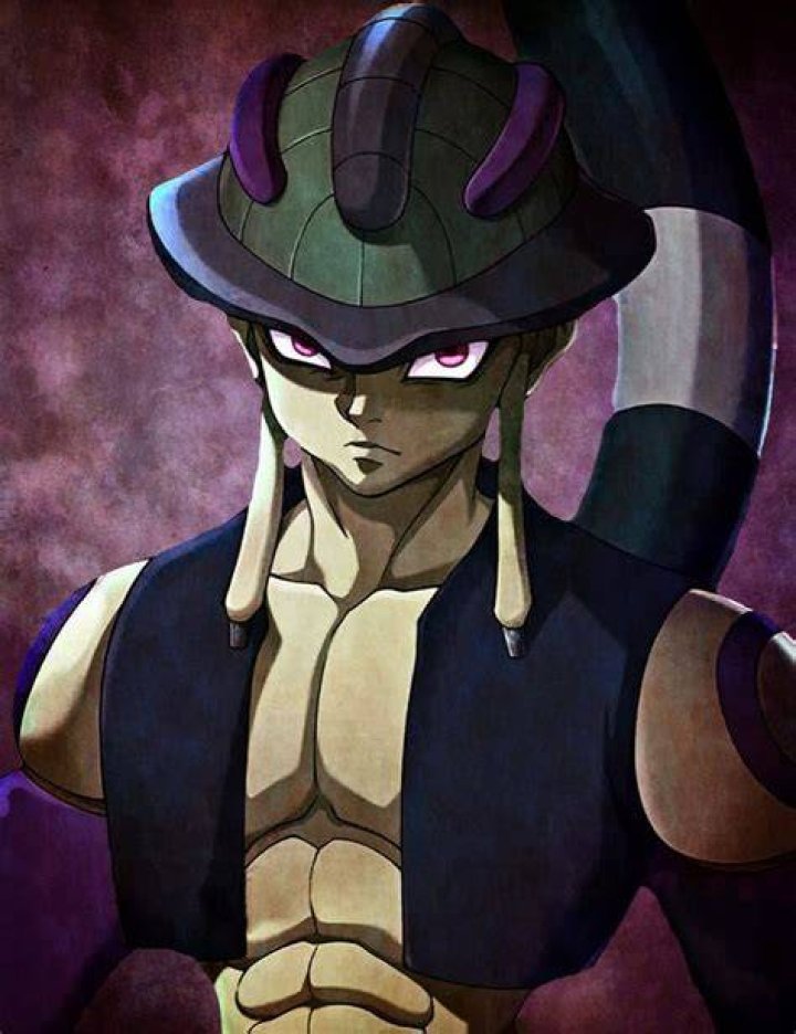 What poisoned Meruem?