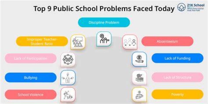 What problems do students face in school?