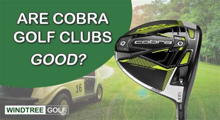 What pros use Cobra golf clubs?