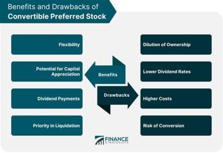 What provisions are often incorporated into preferred stock?