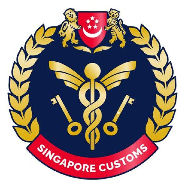 What questions can customs ask?