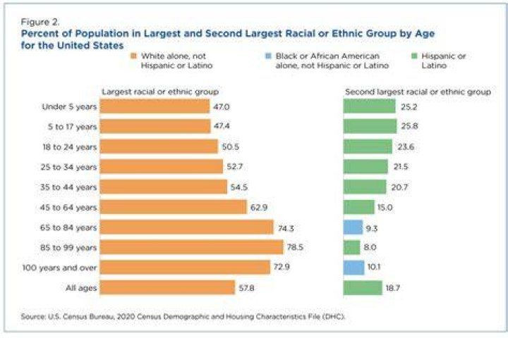 What race is most likely to be adopted?