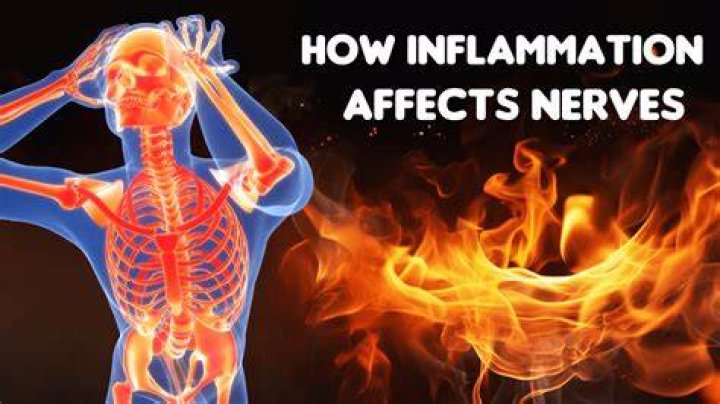 What reduces nerve inflammation?