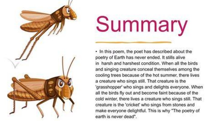 What role do the grasshopper and cricket play in the poetry of earth?