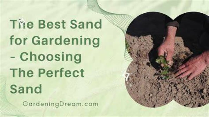 What sand should I use for plants?
