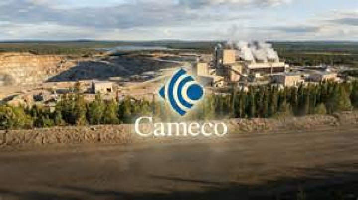 What sector is Cameco in?
