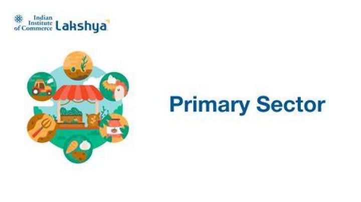 What sector is PKG in?