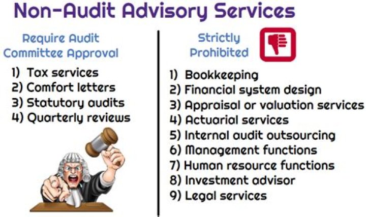What services can auditors provide?