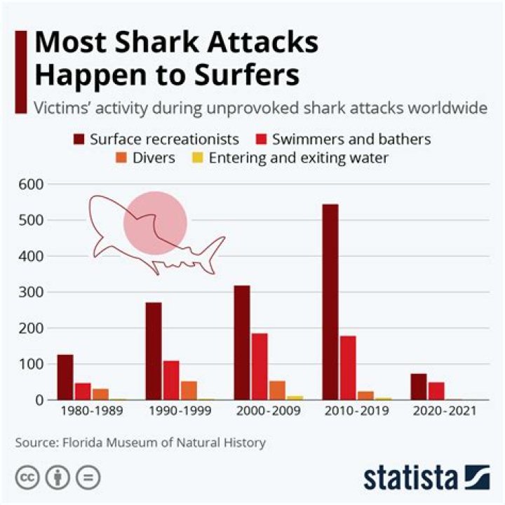 What shark kills the most humans?
