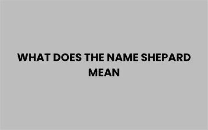 What Shepard mean?